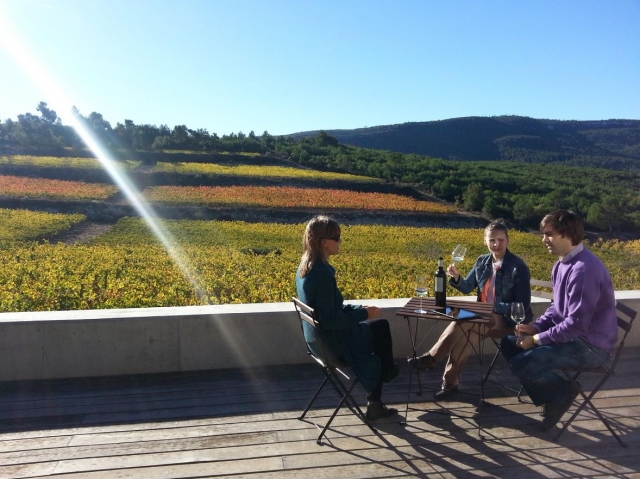 Sentados junto a los vinedos